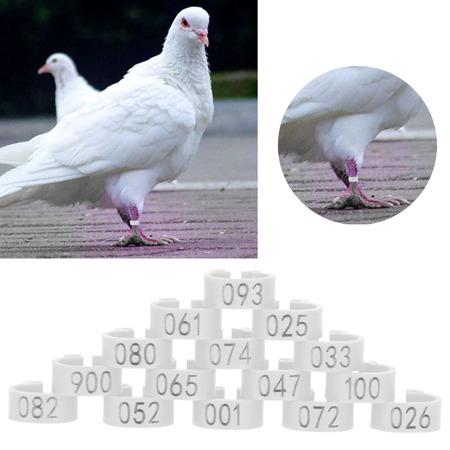 001-100 Numbered Bird Foot Ring Reusable Pigeons Identify Clip Poultry AccessoryWhite