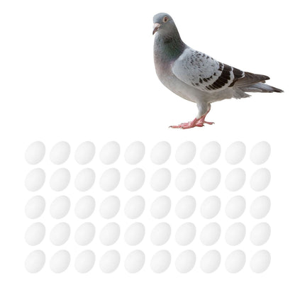 50pcs Plastic Fake Pigeon Egg Solid Fake Egg Simulation Hatching Breeding Supplies for Birds