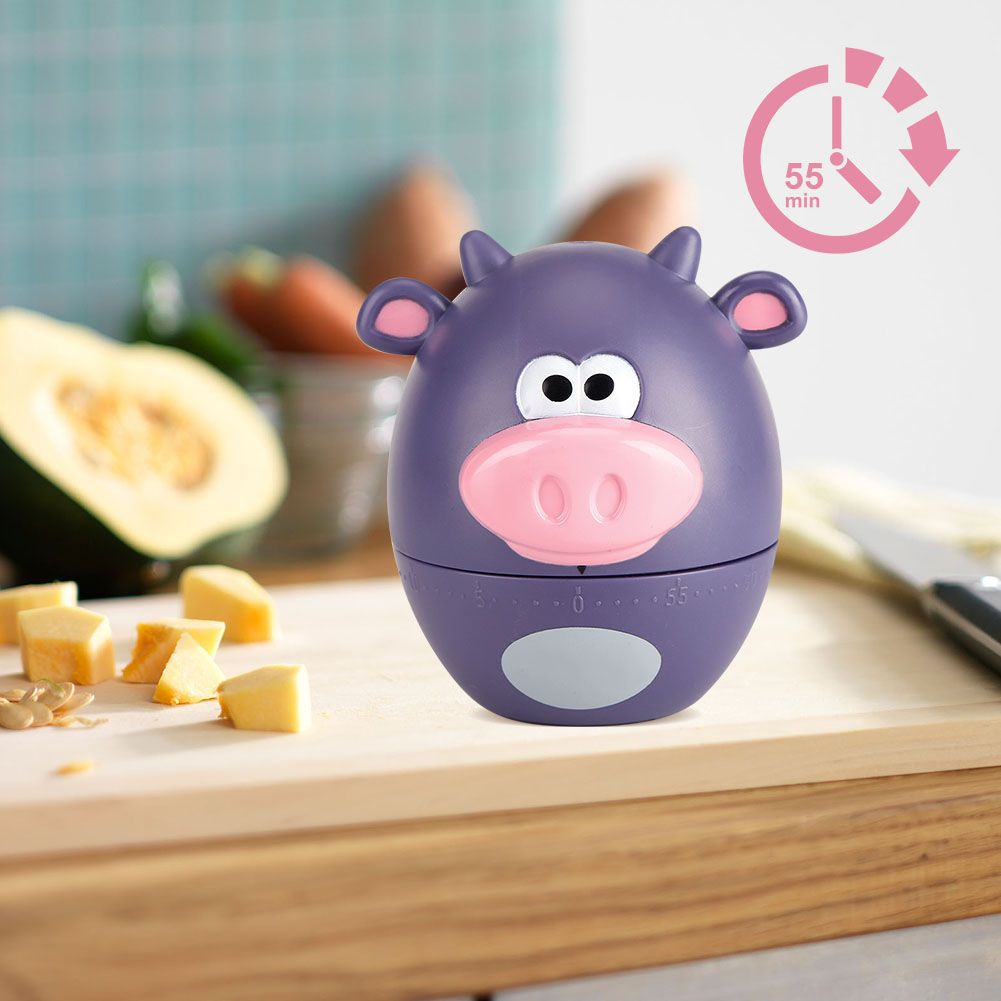 Cute Cartoon Kitchen Timer Mechanical 55 Minutes Cooking Supplies