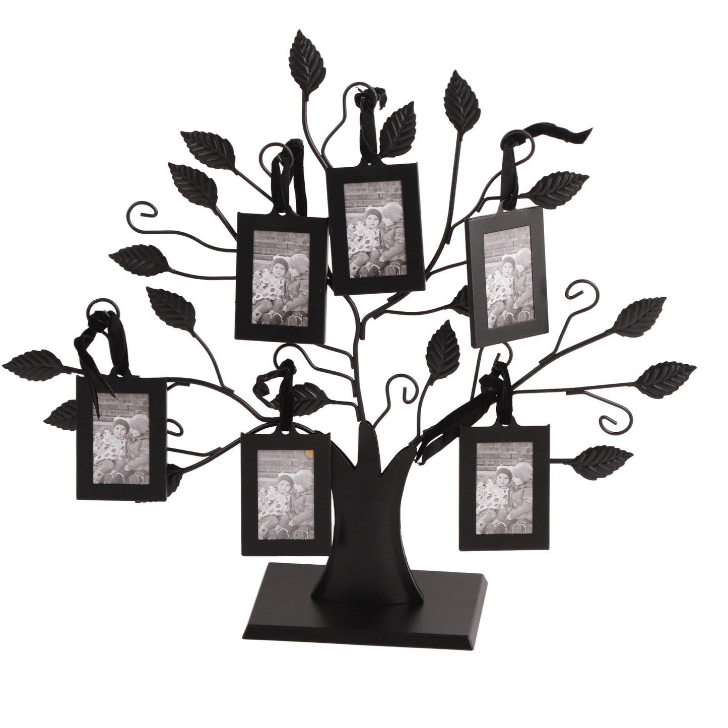 Fashionable Family Photos Frame Display Tree with Hanging Pictures Frames Home Decor S