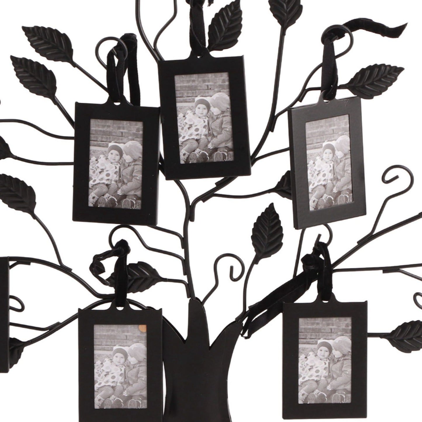 Fashionable Family Photos Frame Display Tree with Hanging Pictures Frames Home Decor S