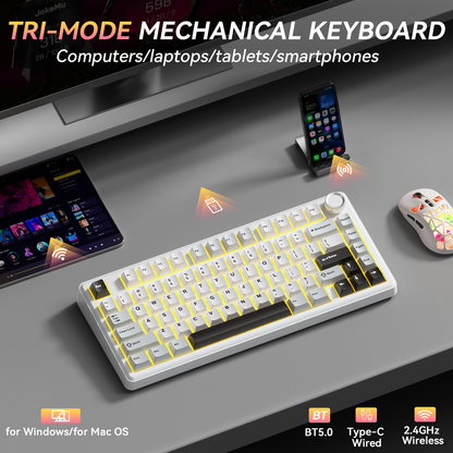 Solakaka A75 3-Mode RGB Mechanical Keyboard,White-Gray