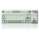 SOLAKAKA SK90 75% Compact Wireless Keyboard with Independent Number Pad，Green & White