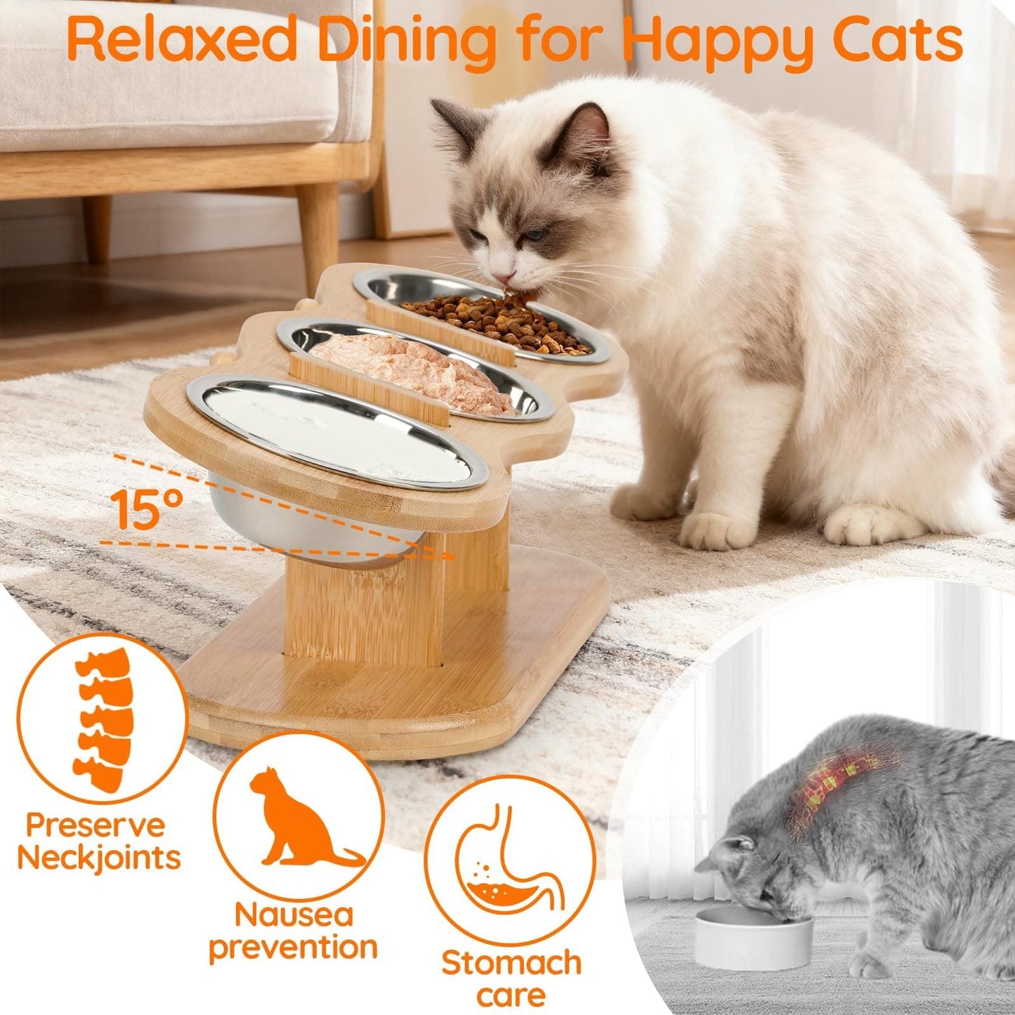 Elevated Cat Bowl Set with 3 Stainless Steel Bowls and 15° Angled Stand, Ideal for Indoor Cats and Small Dogs to Promote Healthy Eating and Digestion