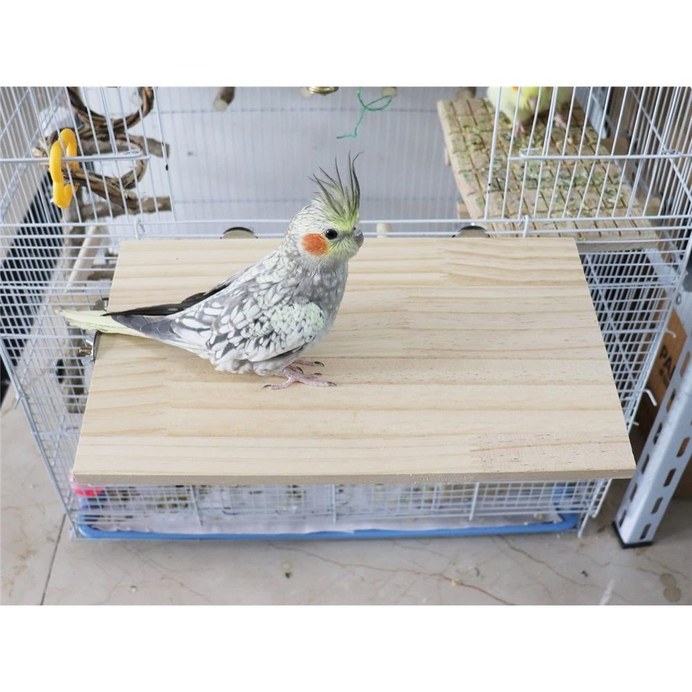 Large Bird Perch Stand Platform, Natural Wooden Small Animals Cage Accessories, Rectangle Stand Perch Shelf（20*33cm）