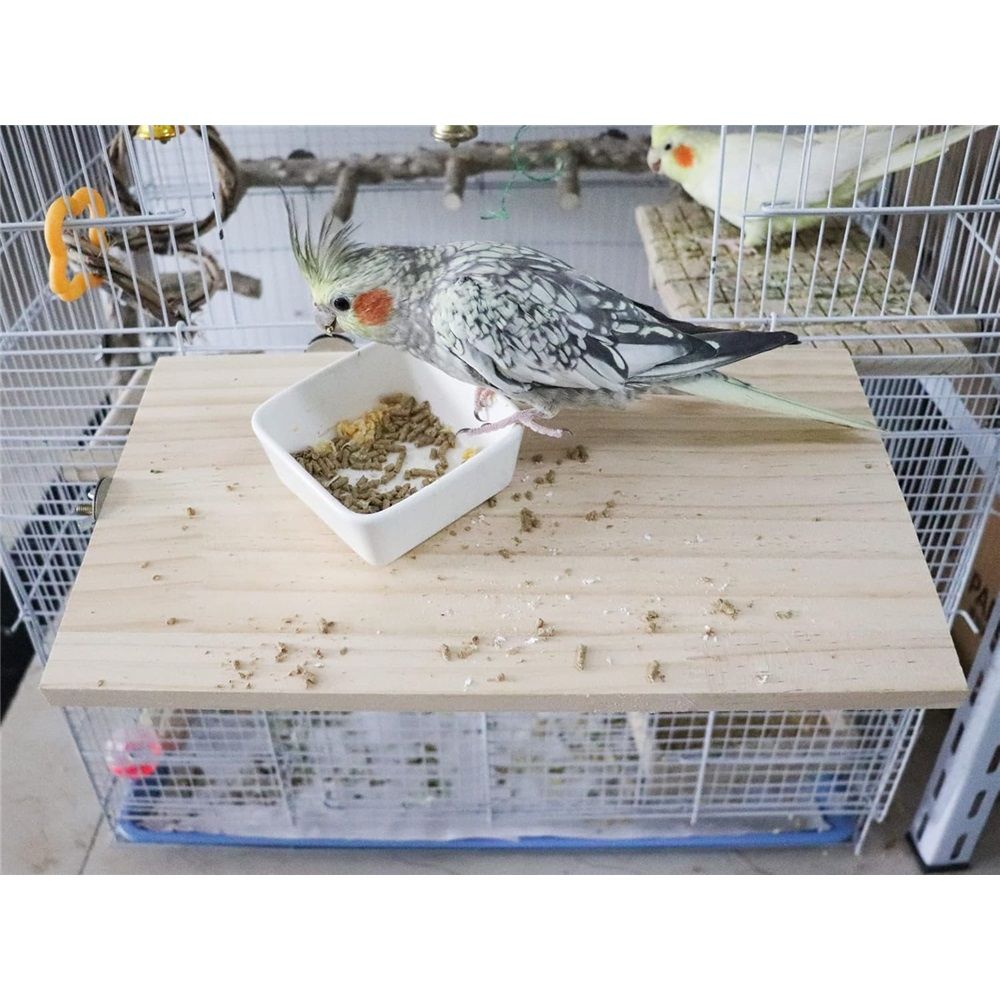 Large Bird Perch Stand Platform, Natural Wooden Small Animals Cage Accessories, Rectangle Stand Perch Shelf（20*33cm）