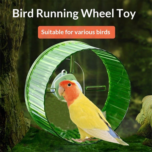 21cm  Parrot Silent Running Wheel, Parrot Exercise Wheel, Birds, Parrots, Turtles, Hamsters, Small Animal Quiet Running Wheel (Green)