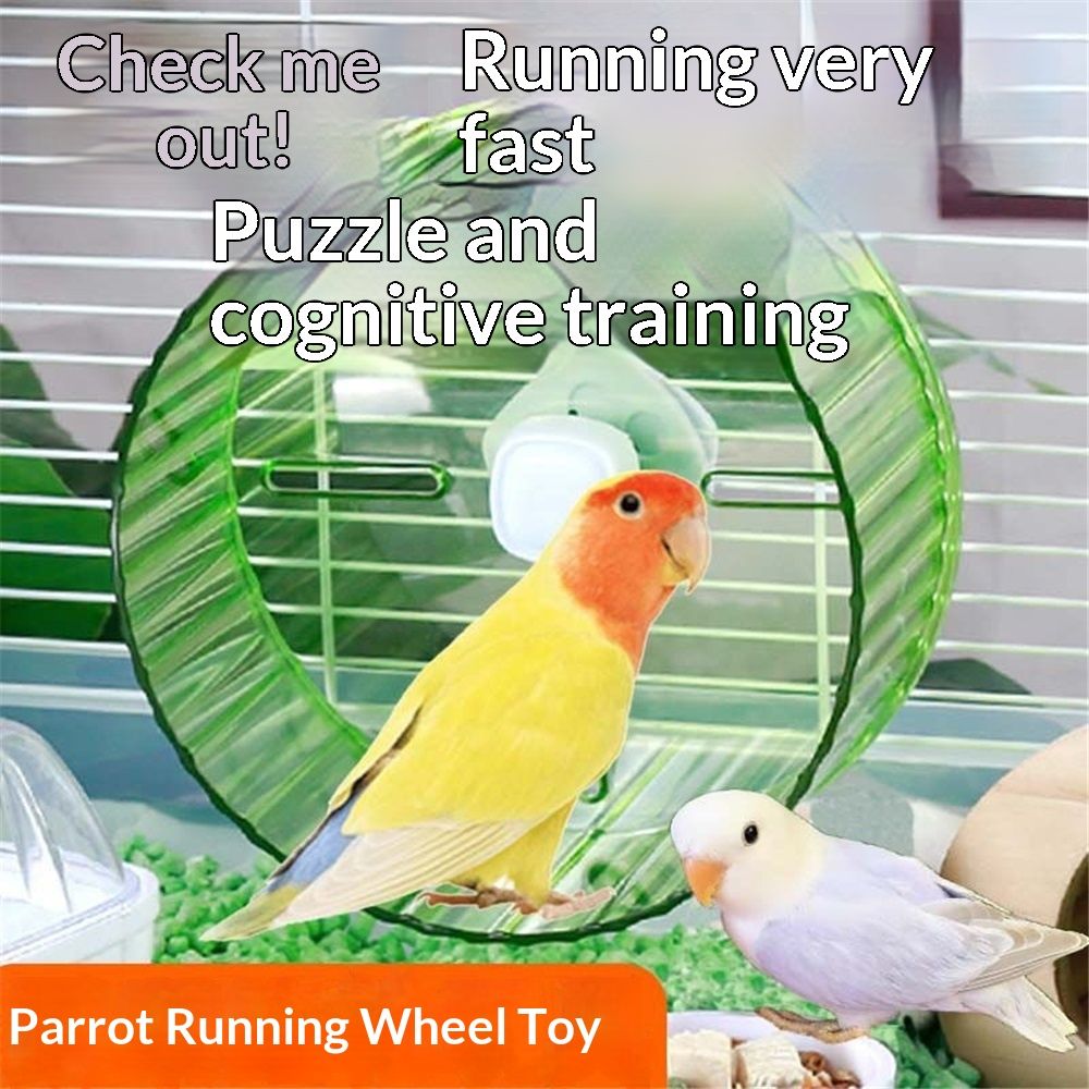 21cm  Parrot Silent Running Wheel, Parrot Exercise Wheel, Birds, Parrots, Turtles, Hamsters, Small Animal Quiet Running Wheel (Green)