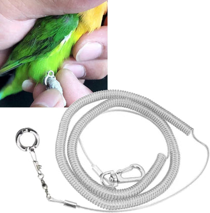 2pcs Parrot Flying Rope,3m Ultra Light Anti Bite Portable Bird Flying Training Leash Parrot Foot Chain Pet Bird Supplies for Macaw Greys Parakeet Cockatoo（Foot Ring No. 4）