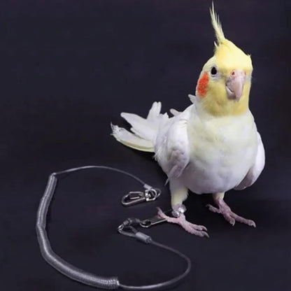 2pcs Parrot Flying Rope,3m Ultra Light Anti Bite Portable Bird Flying Training Leash Parrot Foot Chain Pet Bird Supplies for Macaw Greys Parakeet Cockatoo（Foot Ring No. 4）