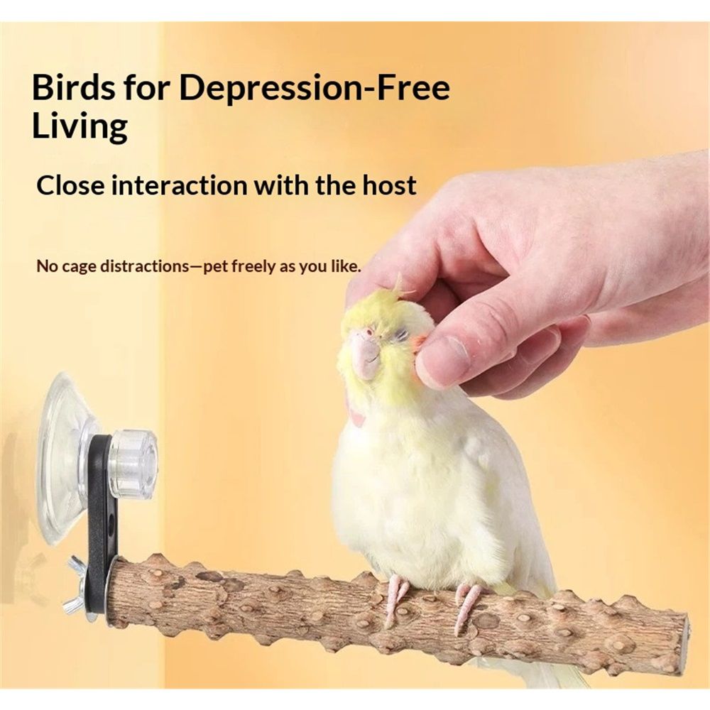 2Pcs Bird Perch With Suction Cup, Wooden Parrot Stand, Shower and Window Perch, Grinding Stick Training Toys, Wall Bath Car Travel Stand for Small and Medium Birds