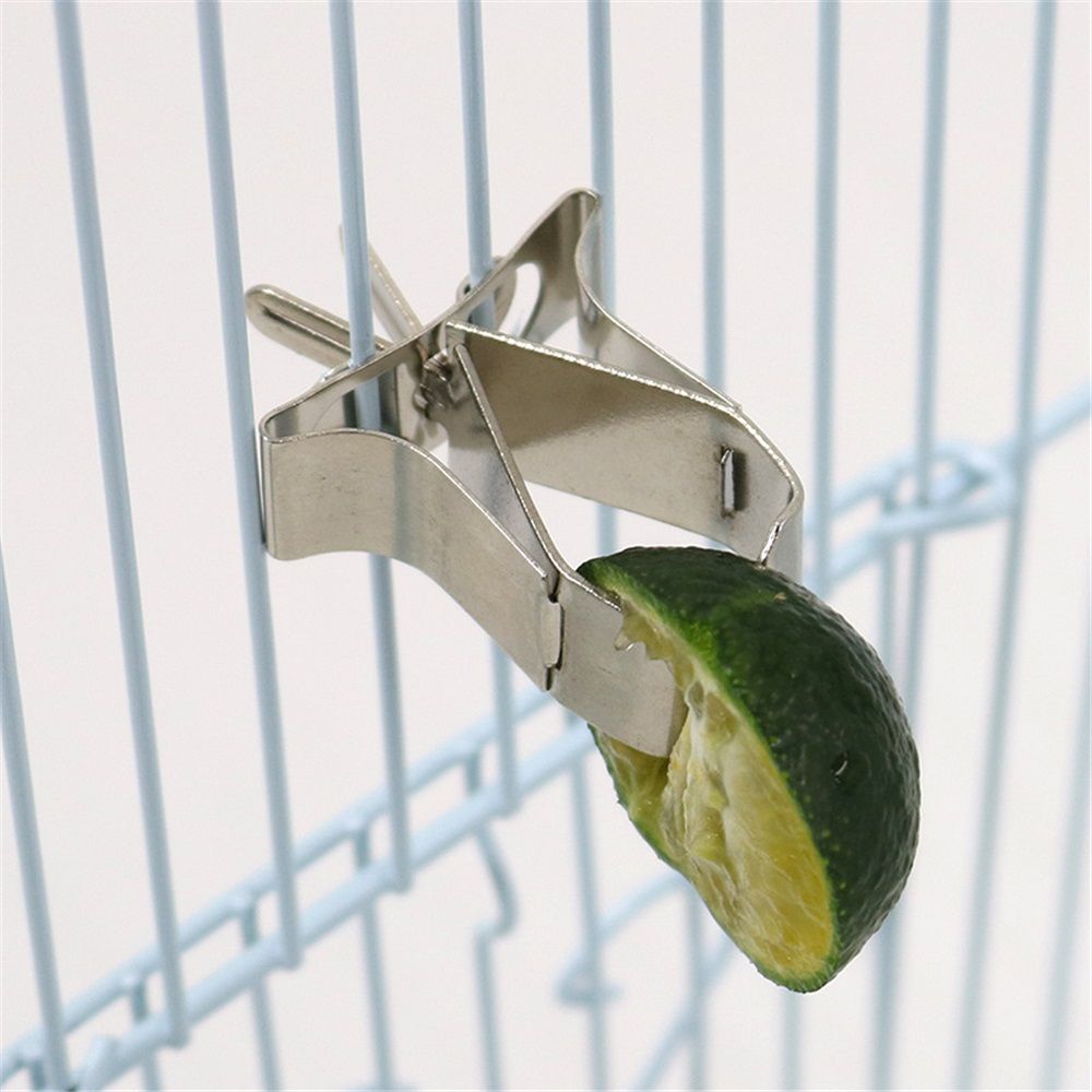 6 pcs Stainless Steel Clips Pet Feeder Bird Food Holder Parrot Cage Supplies Pet Supply Cuttlebone Clamp Clamps Birds Cage Food Clip Parrot Fixed Birdcage Fruit Fork