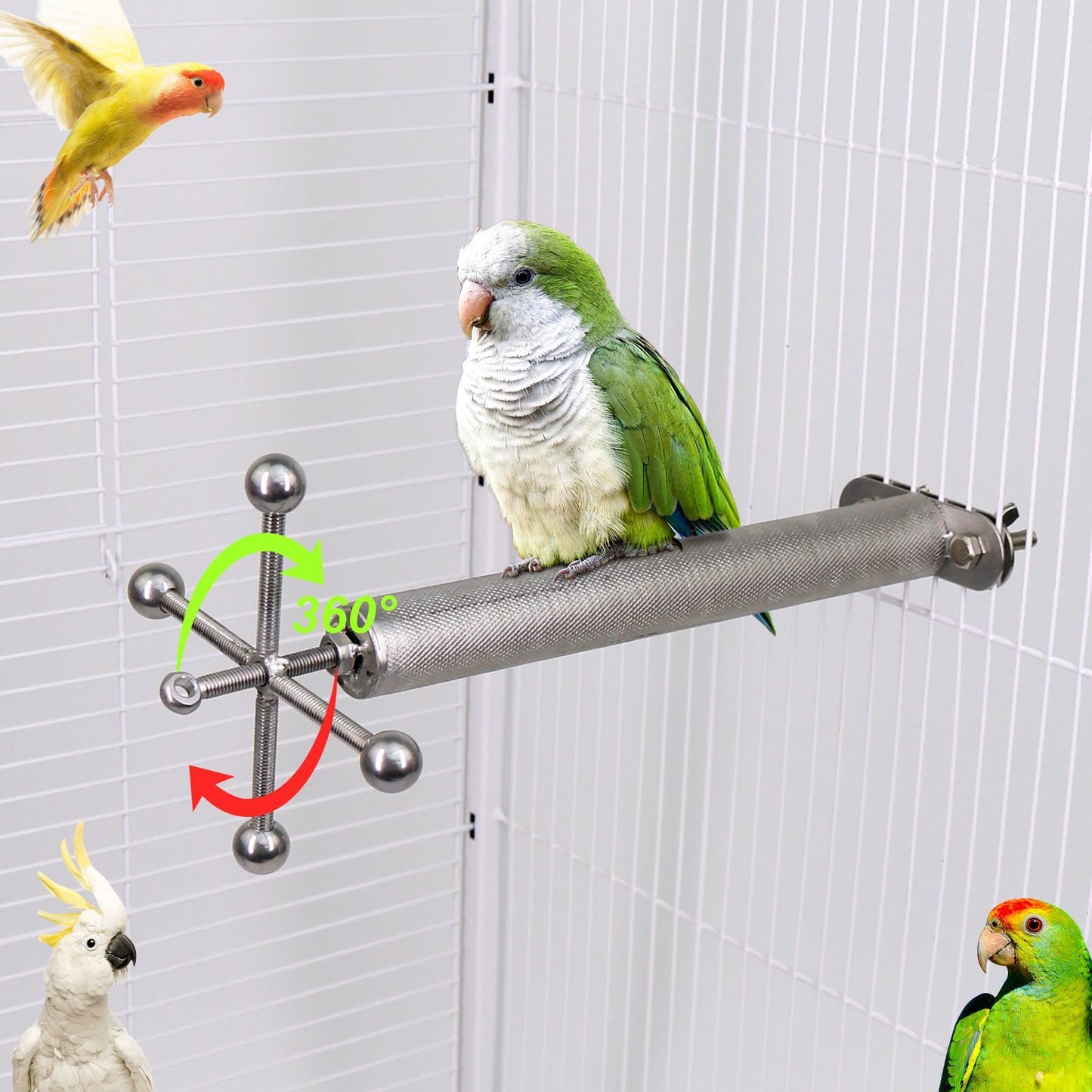 Bird Parrot Stainless Steel Bracket Rotating Rod Bird Grinding Claw Parrot Scraper Rod Long Tail Parrot Cage Accessories Sports Stand