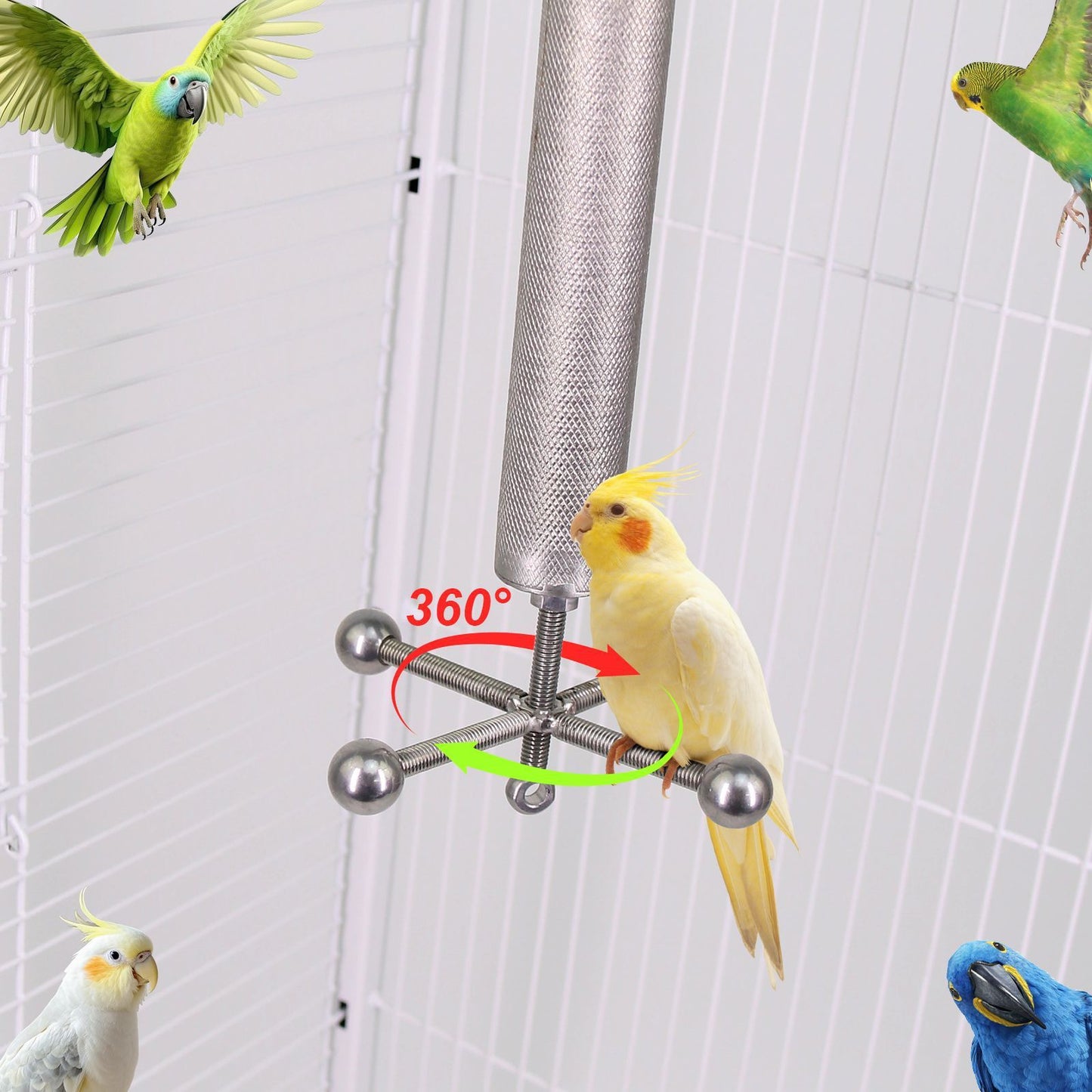 Bird Parrot Stainless Steel Bracket Rotating Rod Bird Grinding Claw Parrot Scraper Rod Long Tail Parrot Cage Accessories Sports Stand