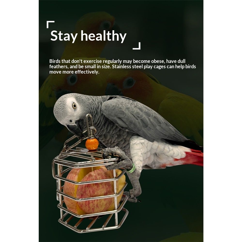 Bird Stainless Steel Foraging Feeder Parrot Hanging Feeding Box for Macaw  Grey Cockatoo Cockatiel  Cage   Stainless Steel Baffle Cage