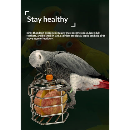 Bird Stainless Steel Foraging Feeder Parrot Hanging Feeding Box for Macaw  Grey Cockatoo Cockatiel  Cage   Stainless Steel Baffle Cage
