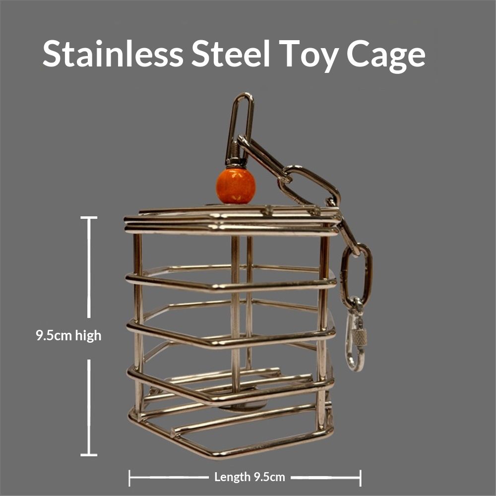 Bird Stainless Steel Foraging Feeder Parrot Hanging Feeding Box for Macaw  Grey Cockatoo Cockatiel  Cage   Stainless Steel Baffle Cage