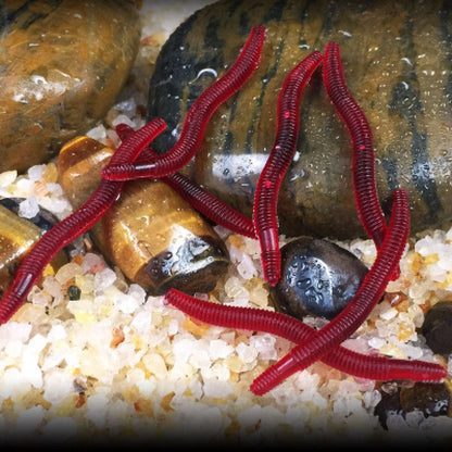 100Pieces Fake Earthworm Plastic Lifelike Worm Soft Stretchy Rubber Earthworms Trick Toy for Halloween April Fool's Day Party