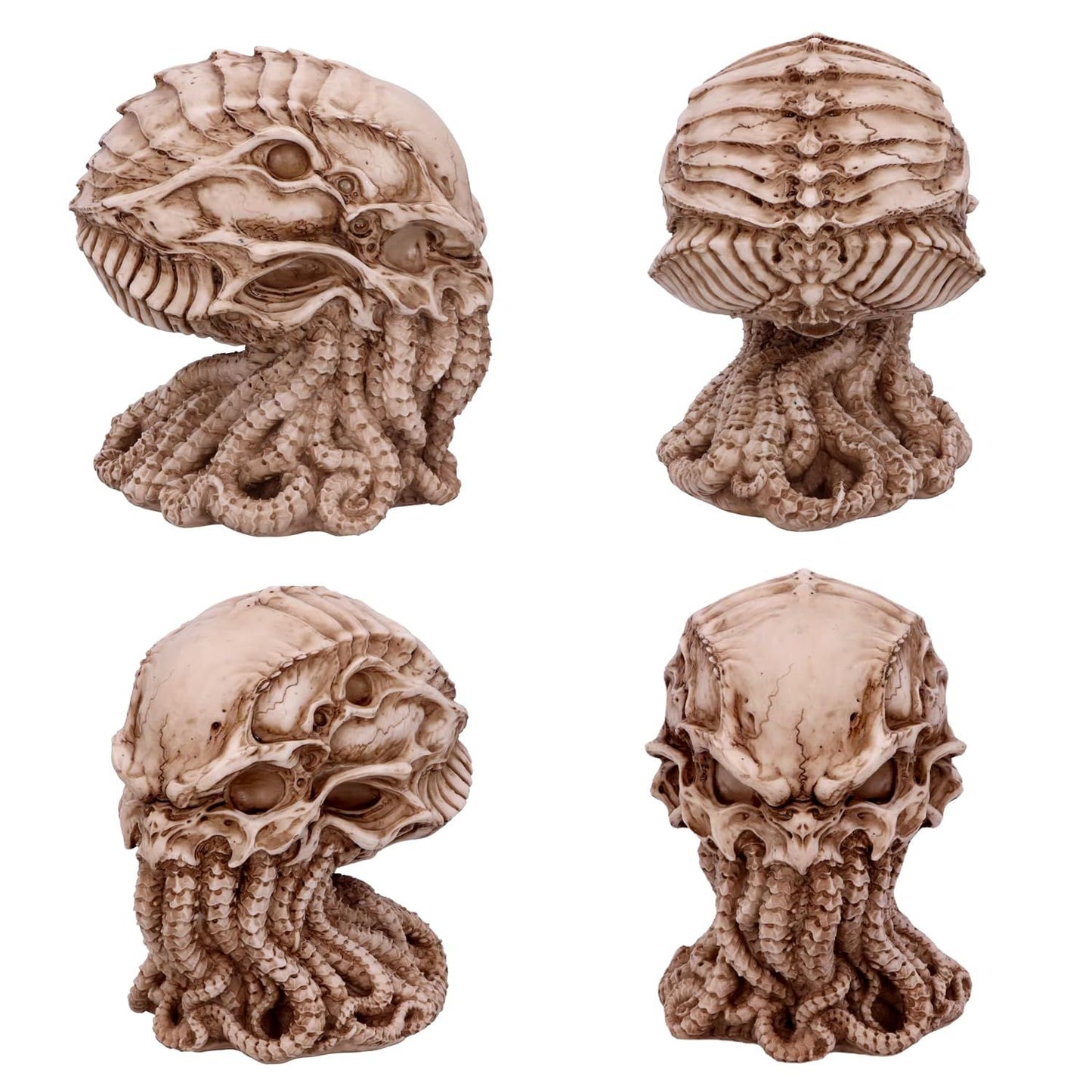 Skull Statue, Myths Legends Sea God Collectible Figurine, 6 Inches Tall Nemesis Now Skull Figurine Ornament,Natural