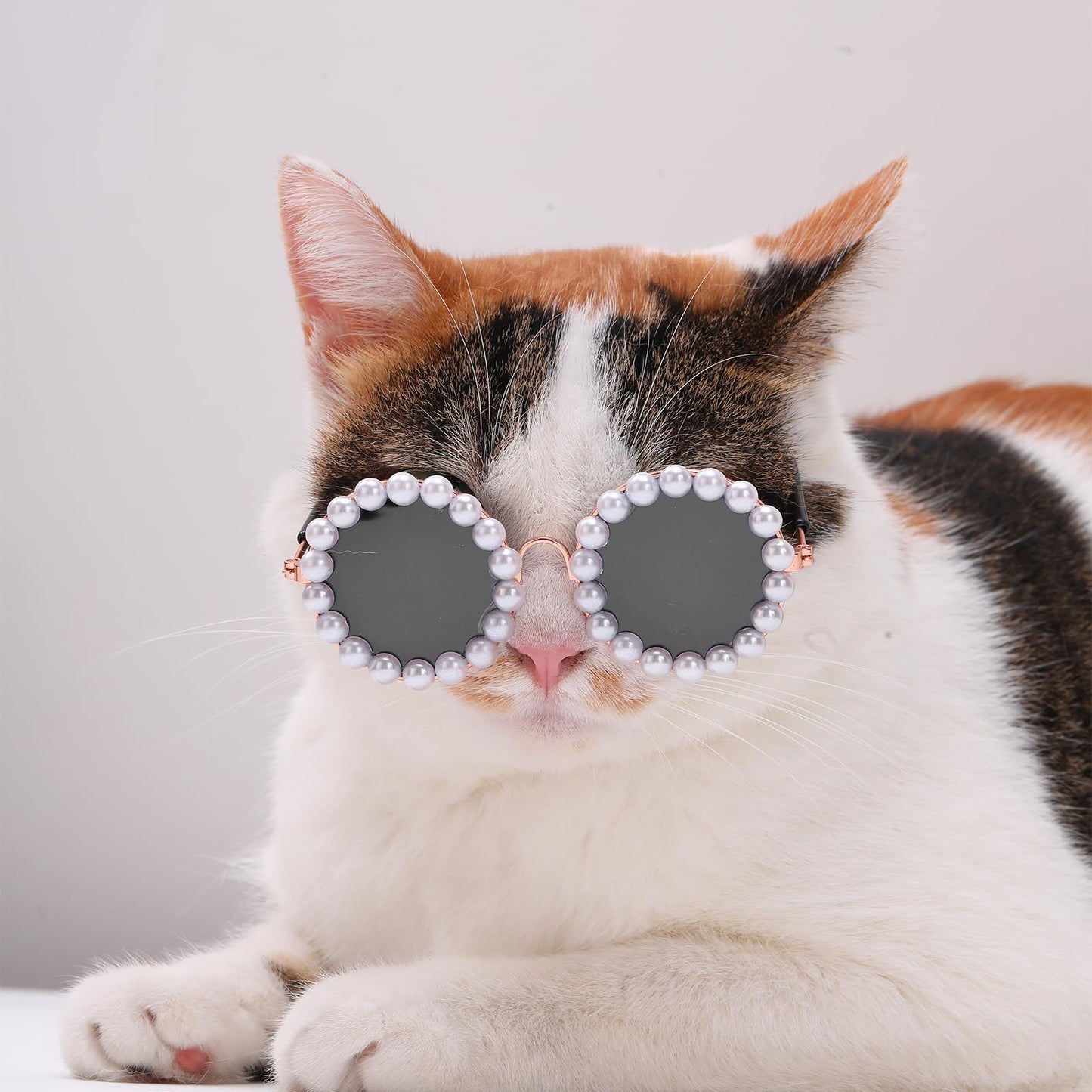 Cute Dog Sunglasses Pearl Dog Sunglasses Small Medium Breed Girl Holiday Party Dog Costume Accessories