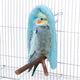 Fleece Bird Blanket Parrot Cage Snuggle Hut Warm Bird Nest House Bed Hanging Hammock Toy for Pigeon Small Animals Shelter (Blue/M)