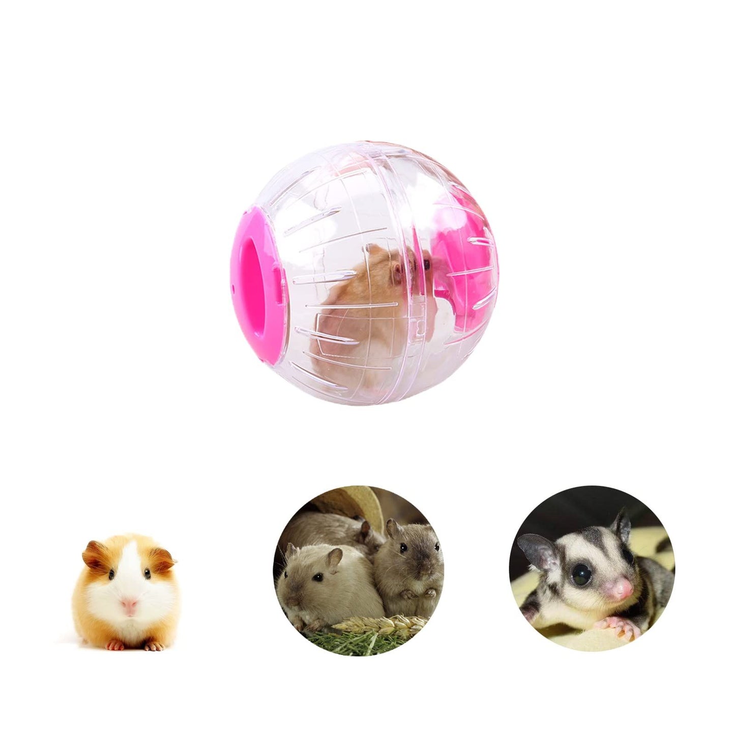Hamster Ball,Hamster Exercise Ball Plastic Exercise Running Ball Toy Sport Ball for Gerbils Chinchillas 12cm Diameter