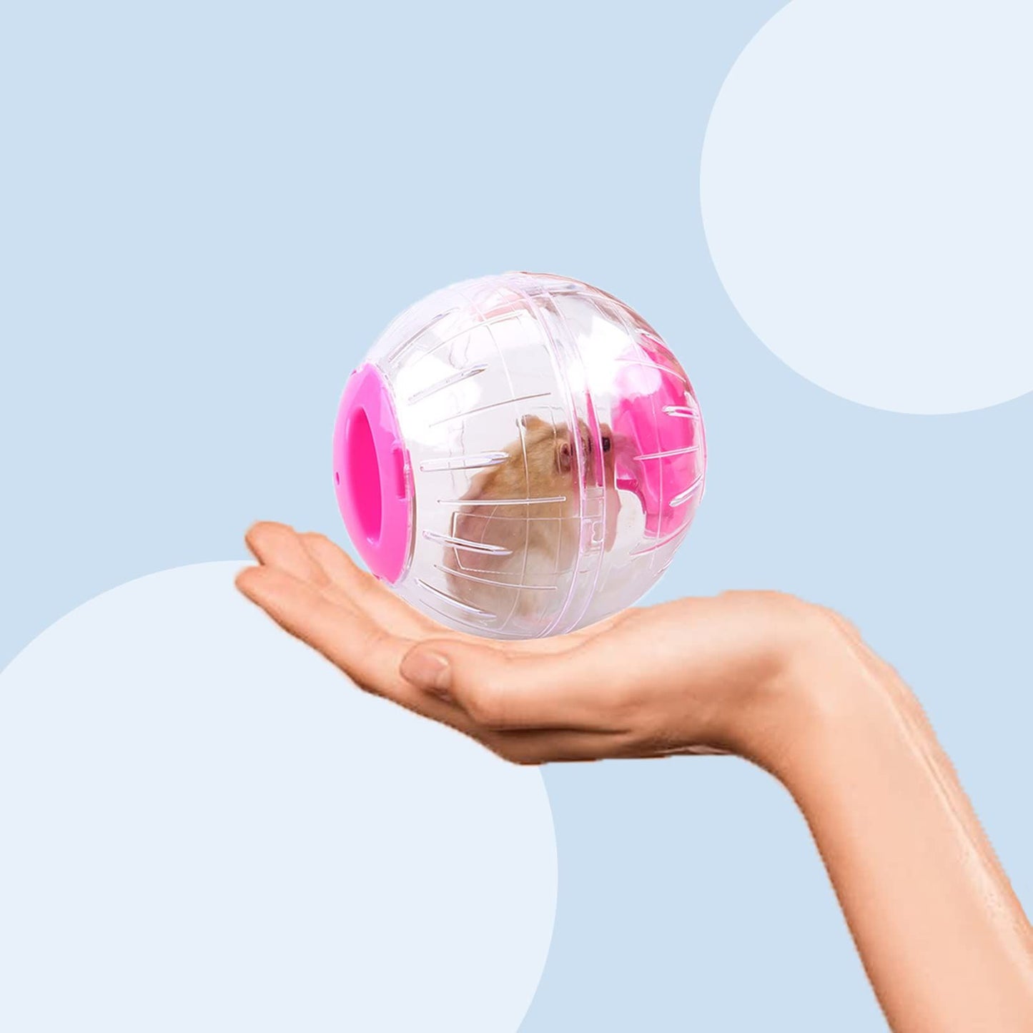 Hamster Ball,Hamster Exercise Ball Plastic Exercise Running Ball Toy Sport Ball for Gerbils Chinchillas 12cm Diameter