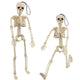 16" Halloween Skeleton 2pcs Full Body Posable Halloween Skeletons with Movable Joints Realistic Spooky Skeletons for Haunted House
