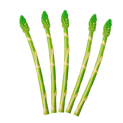 5pcs Simulated Asparagus Lifelike Vegetable Toy Artificial Asparagus Model Faux Asparagus Fern Green Home Decor Asparagus