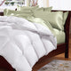 Goose Feather & Down Quilt 500GSM + Goose Feather and Down Pillows 2 Pack Combo - Single - White - Mekamart Australia