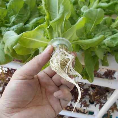 108 Plant Sites Hydroponic Grow Tool Kit Vegetable Garden Hydroponic Grow System - Mekamart Australia