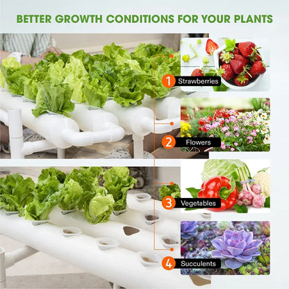 36 Sites Hydroponic Grow Tool Kits Vegetable Garden System 220V Water Pump - Mekamart Australia