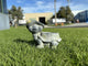 Turtle Planter - Mekamart Australia
