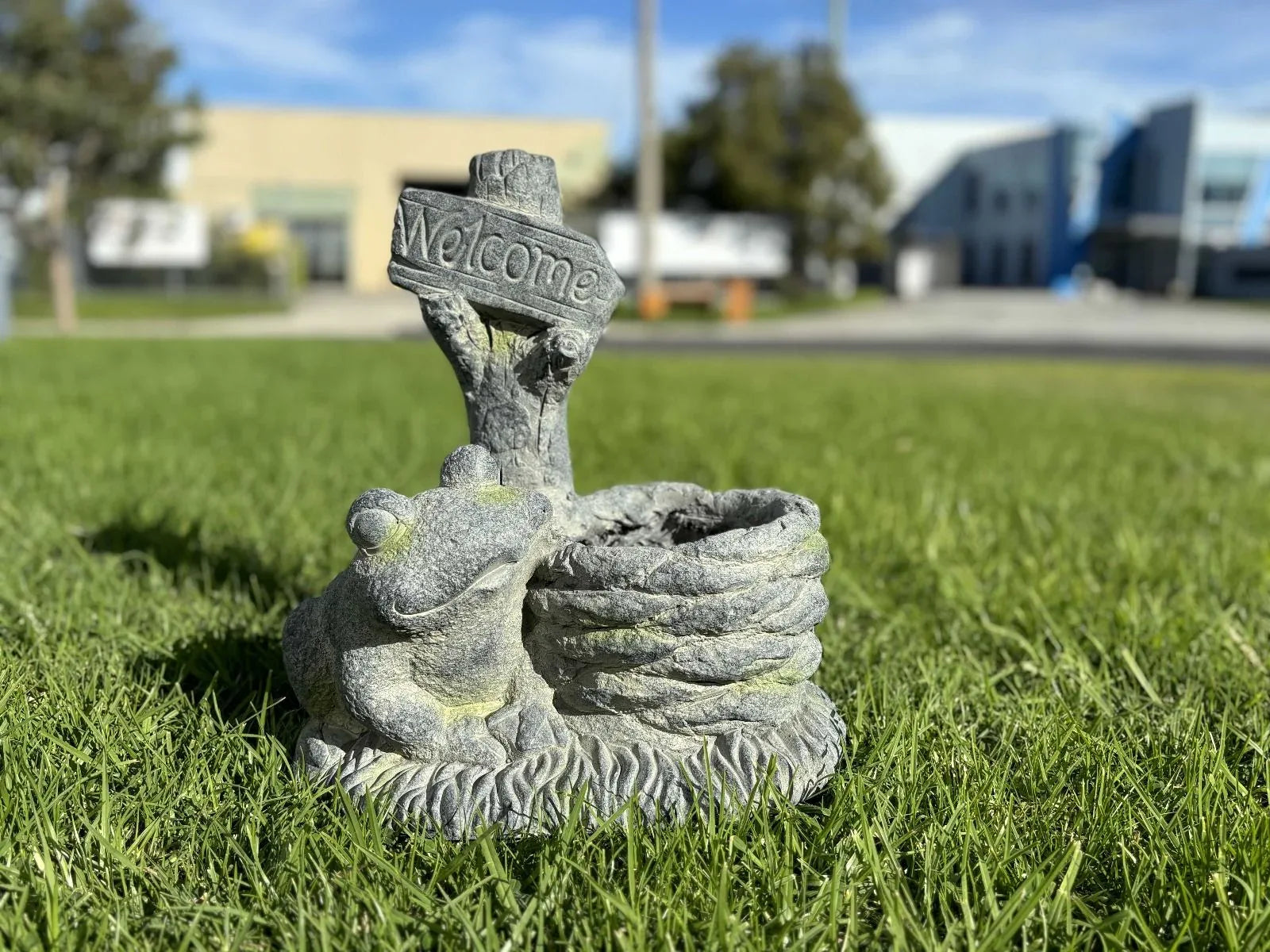 Welcome Frog Planter - Mekamart Australia