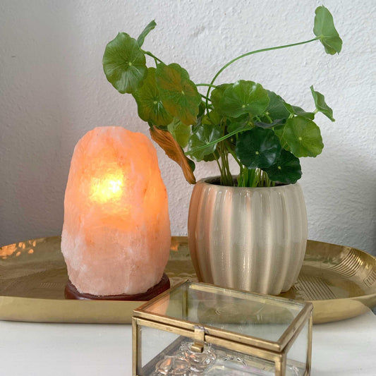 12V 12W 1-2 Kgs Himalayan Pink Salt Lamp Natural Rock Crystal Light Bulb On/Off - Mekamart Australia