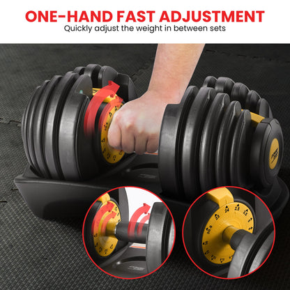 Powertrain  48KG Adjustable Dumbbell Set With Stand - Gold