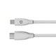 HP DHC-MF102 USB C to 8-pin iPhone Cable 1M (Sync and Power)
