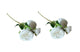 Artificial Rose Stems – Set of 2 Stems – 60cm with 3 Flowers Each - White - Mekamart Australia