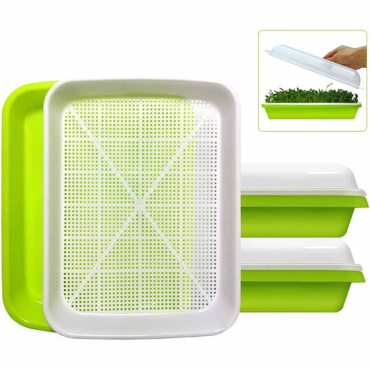 2-Pack Seed Sprouter Trays with Lids BPA-Free, Soil-Free Wheatgrass Growing Kit for Beans, Sprouts, Microgreens - Mekamart Australia