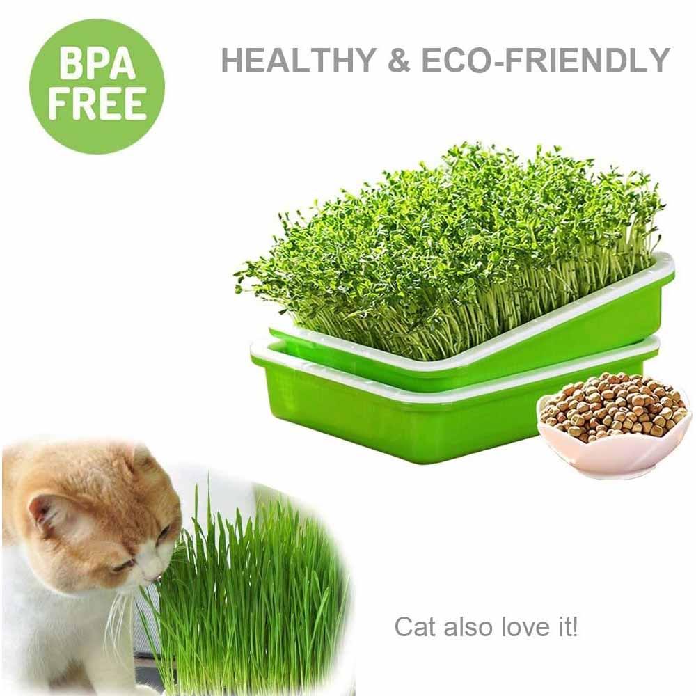 2-Pack Seed Sprouter Trays with Lids BPA-Free, Soil-Free Wheatgrass Growing Kit for Beans, Sprouts, Microgreens - Mekamart Australia