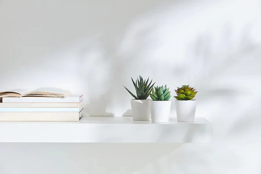 3 Pack of Artificial Succulent Potted Plants in White Plastic 6cm Pot Interior Decoration - Mekamart Australia