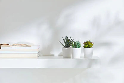 3 Pack of Artificial Succulent Potted Plants in White Plastic 6cm Pot Interior Decoration - Mekamart Australia