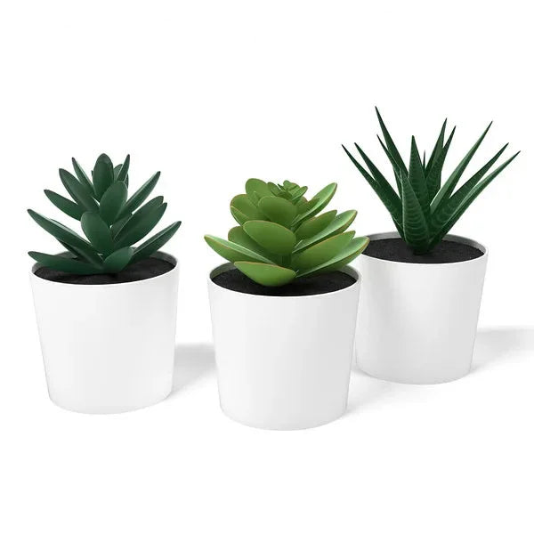 3 Pack of Artificial Succulent Potted Plants in White Plastic 6cm Pot Interior Decoration - Mekamart Australia