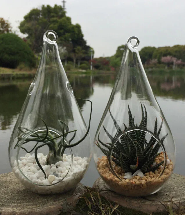 50 Wholesale Pack of Hanging Clear Glass Tealight Candle Holder Tear Drop Pear Shape - 12cm High - Terrarium Plant Mini Garden Holder Decor - Mekamart Australia