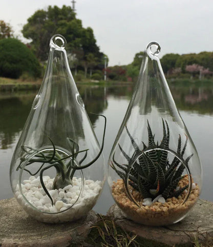 50 Wholesale Pack of Hanging Clear Glass Tealight Candle Holder Tear Drop Pear Shape - 12cm High - Terrarium Plant Mini Garden Holder Decor - Mekamart Australia