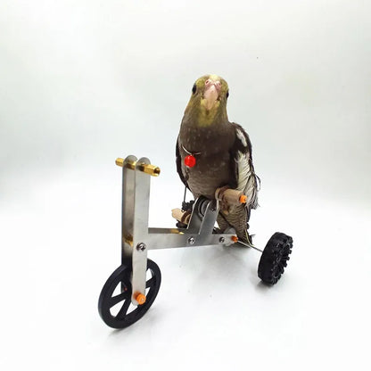 Parrot Training Bicycle Toy Parrot Exercise Bicycle Toy for Birds Fun Activity