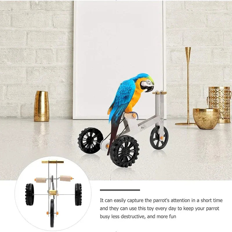 Parrot Training Bicycle Toy Parrot Exercise Bicycle Toy for Birds Fun Activity