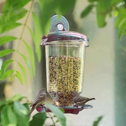Clear Plastic Automatic Bird Feeder Suspended Suction Cup Feeder with Cover