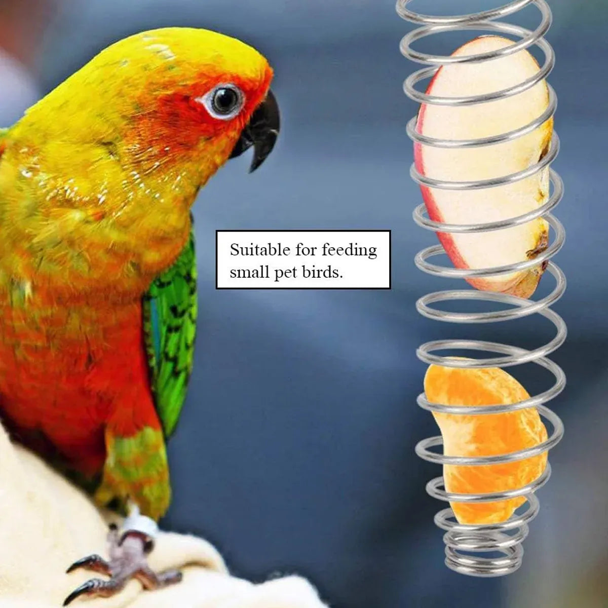 Stainless Steel Parrot Feeder Hanging Type Durable for Bird Cage Food Container