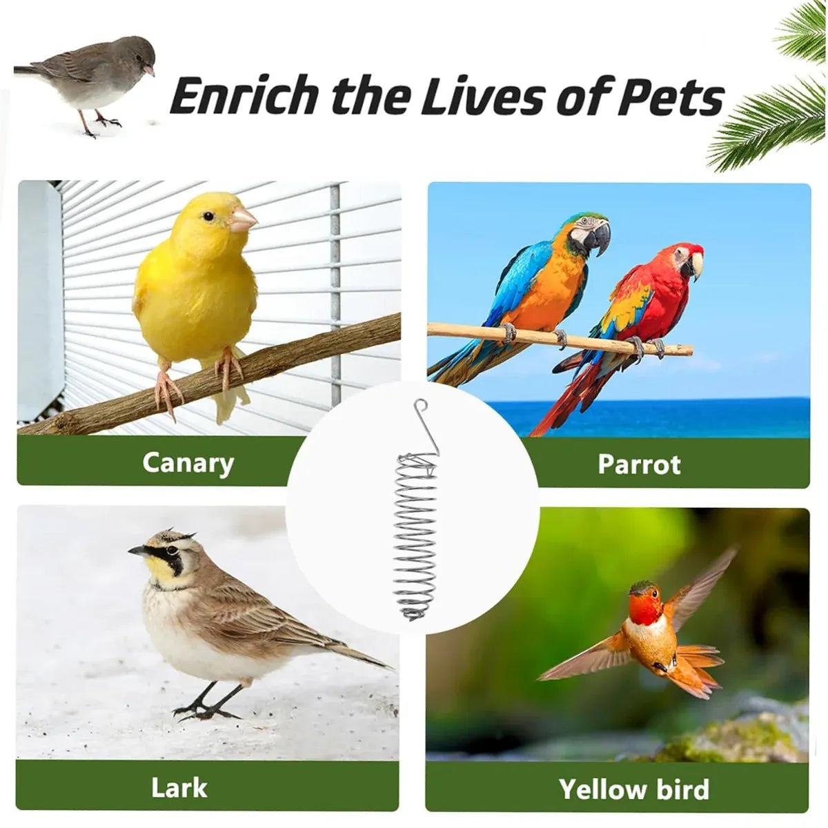 Stainless Steel Parrot Feeder Hanging Type Durable for Bird Cage Food Container